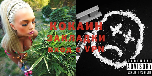 трава Верея