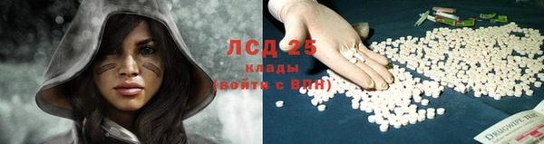 трава Верея