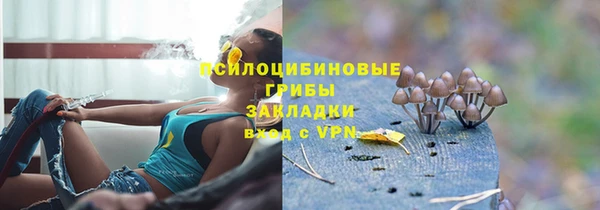 трава Верея