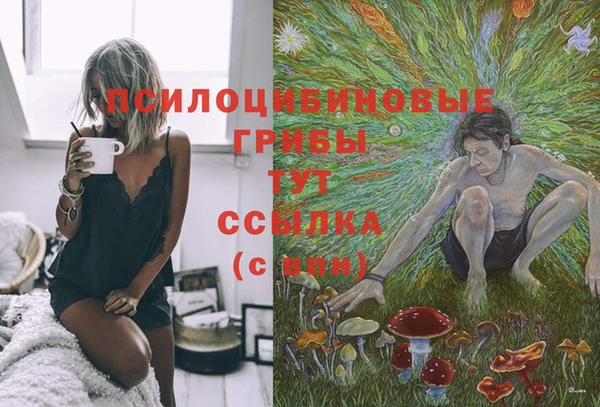 трава Верея