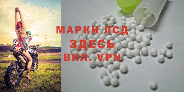 трава Верея